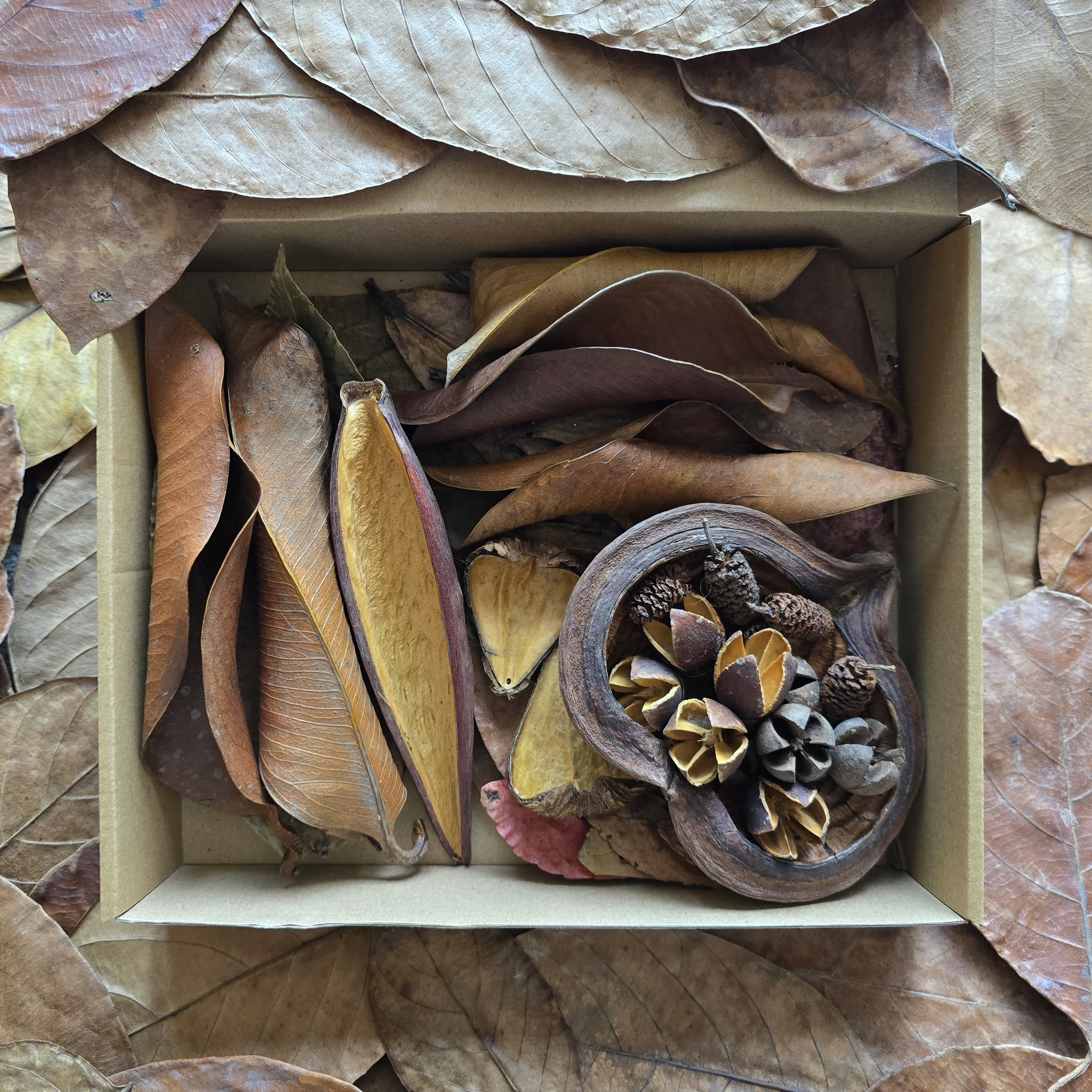 Deluxe Botanical Box