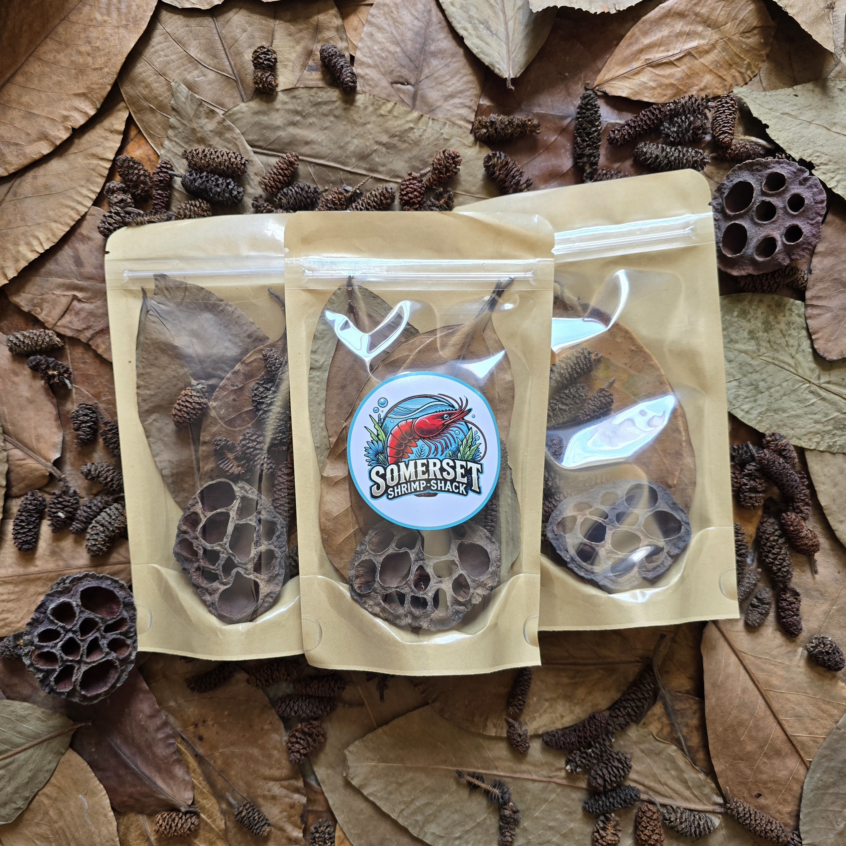 Lotus Pod Pack