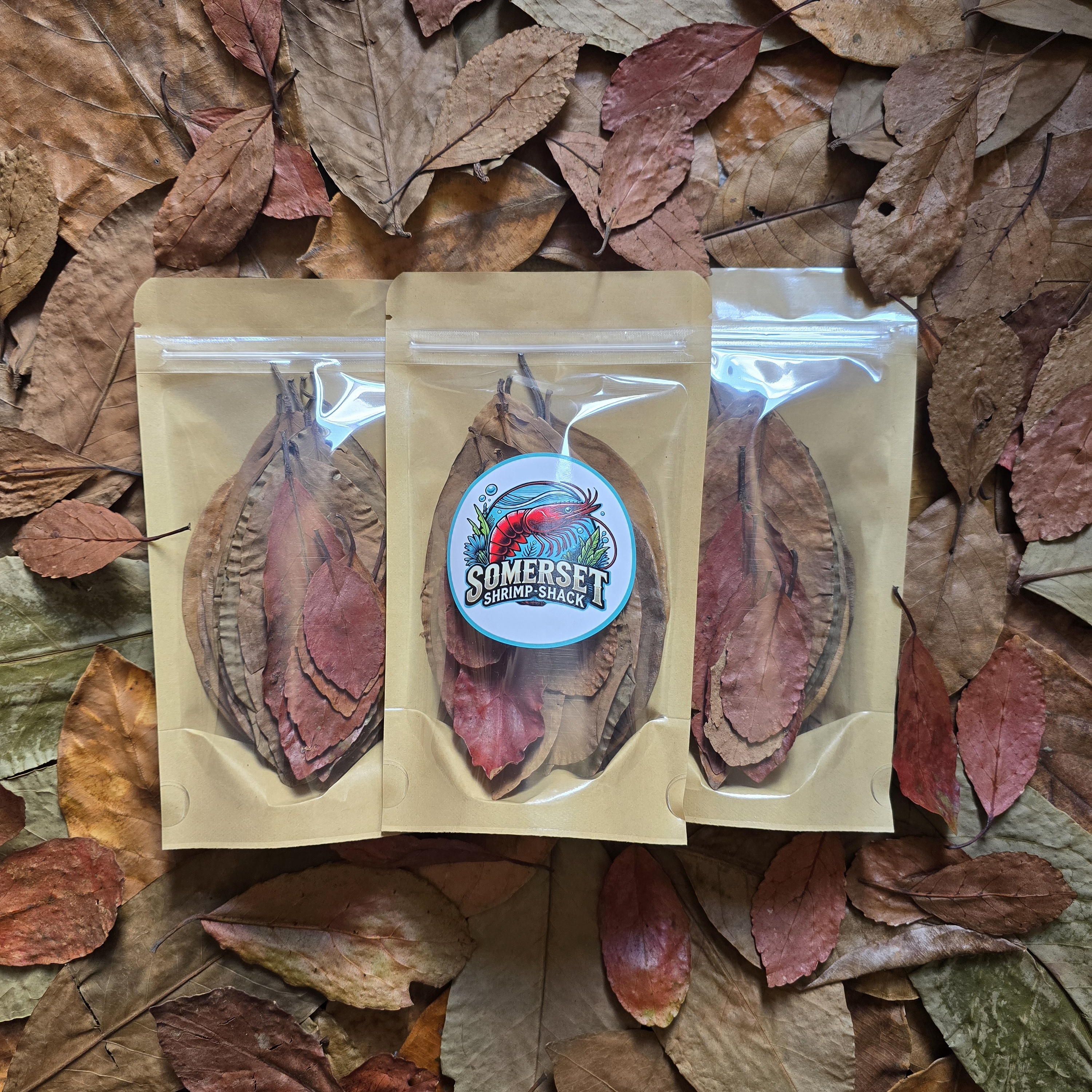 Essential Leaf Pack