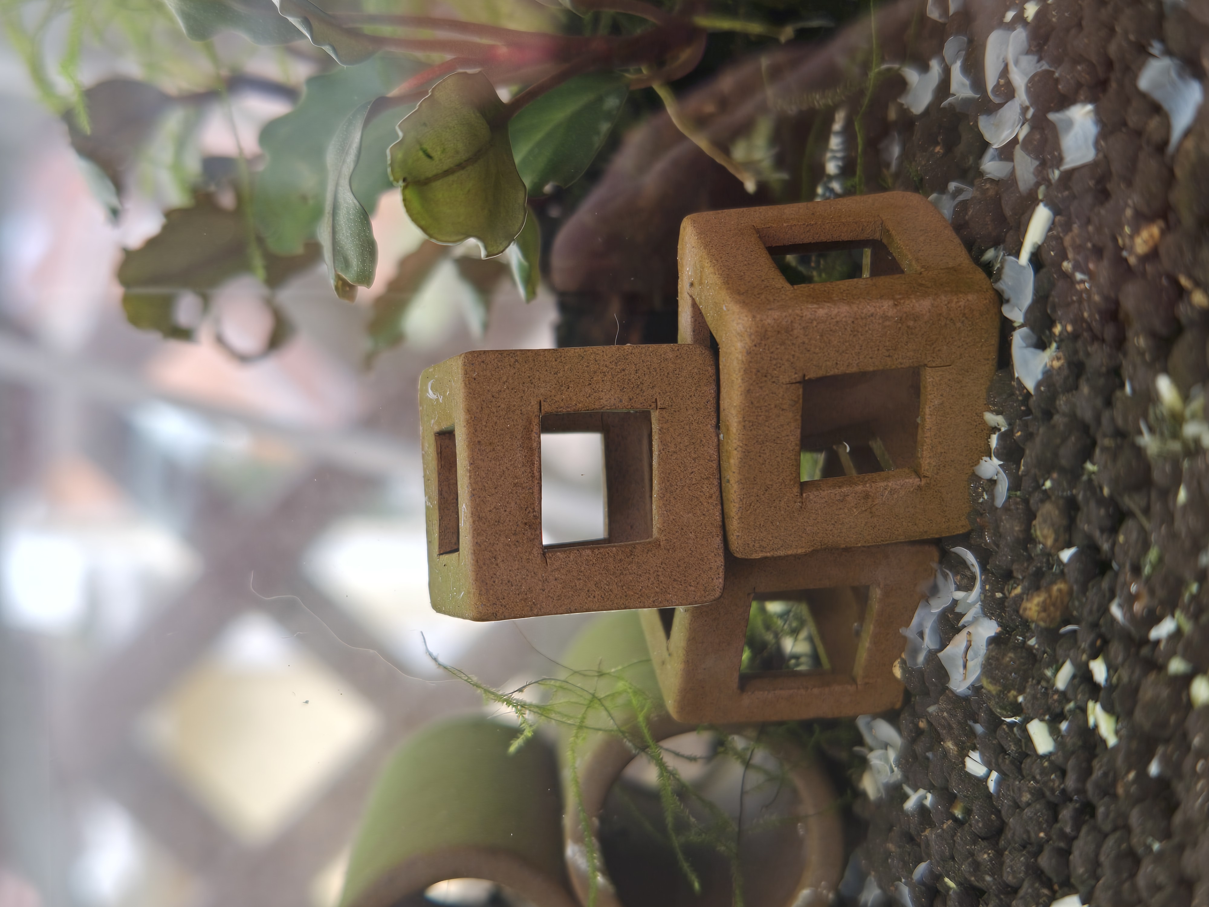 Ceramic Shrimp Hide Cube